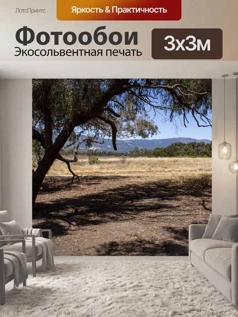 Фотообои Тенистое сельское поле