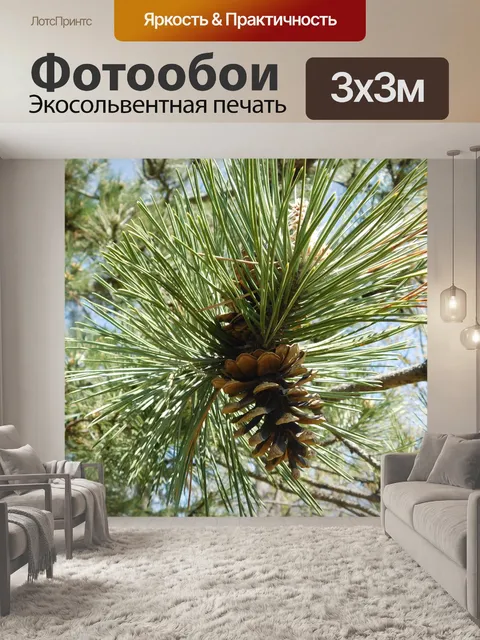 Фотообои Природа