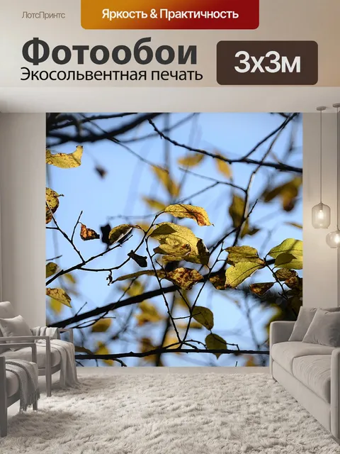Фотообои Падение