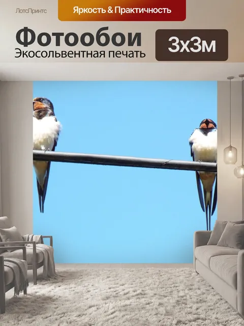 Фотообои Ласточки