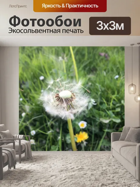 Фотообои Природа