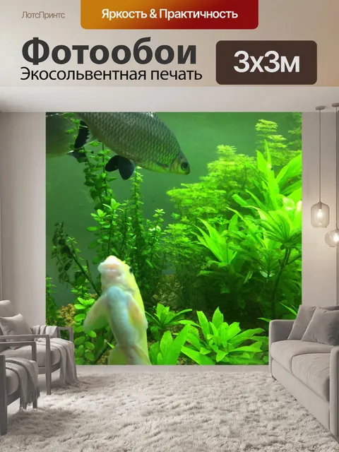 Фотообои Рыбы