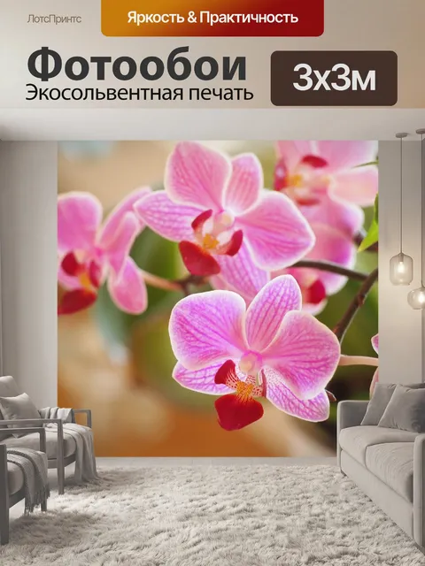 Фотообои Орхидеи