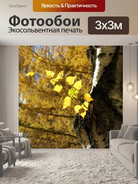 Фотообои Осень