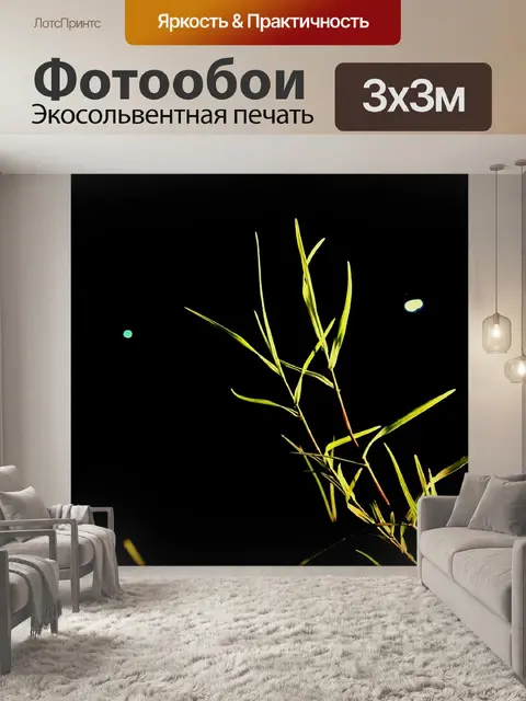 Фотообои Трава