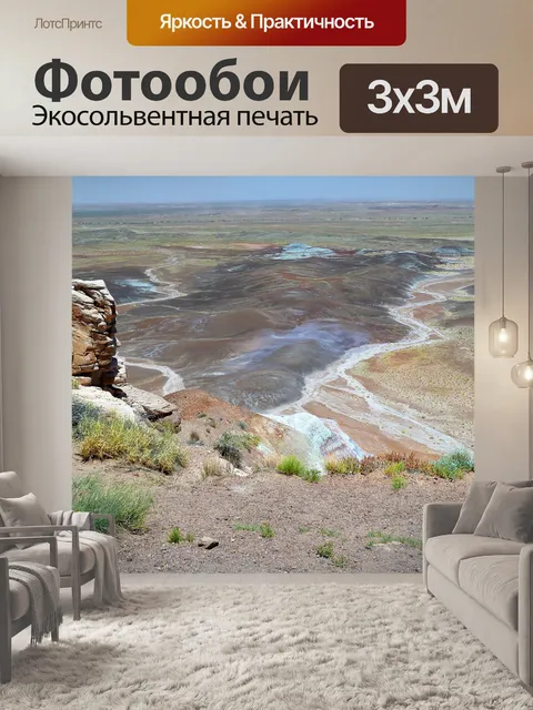 Фотообои Окаменел