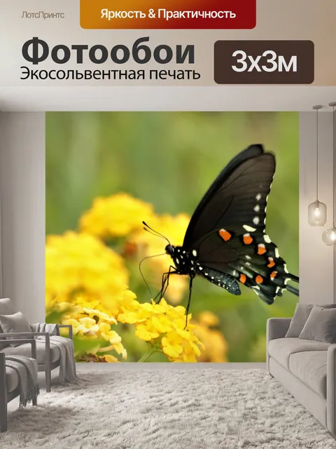 Фотообои Бабочка-парусник из трубочной лозы