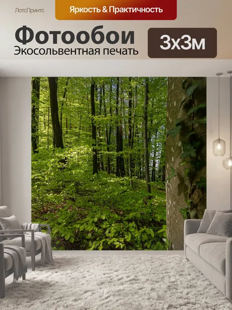 Фотообои Лес