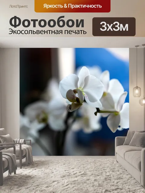 Фотообои Цветы