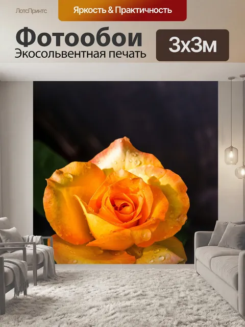Фотообои Роза в саду
