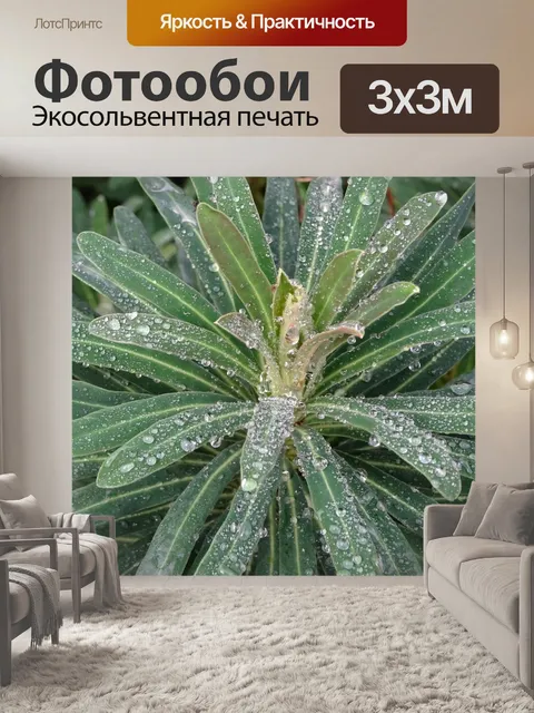 Фотообои Капли дождя на заводе после дождя
