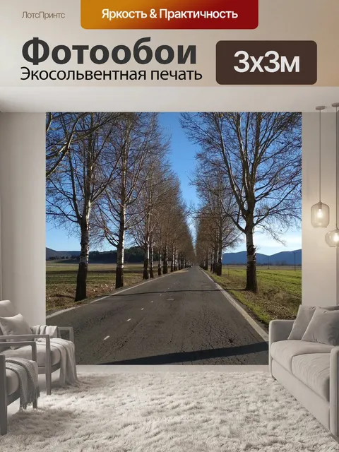 Фотообои Деревья
