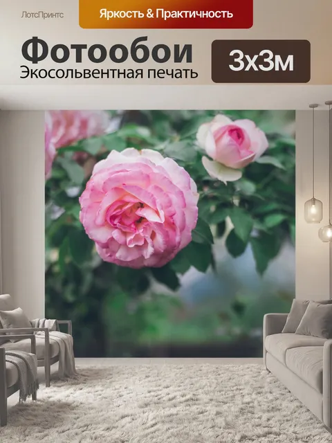 Фотообои Розы