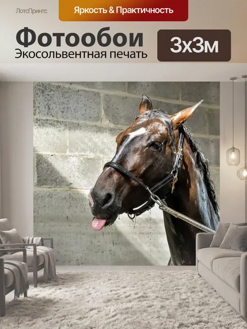 Фотообои Лошадь