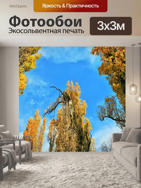 Фотообои Тополя