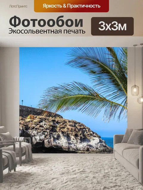 Фотообои Пальма
