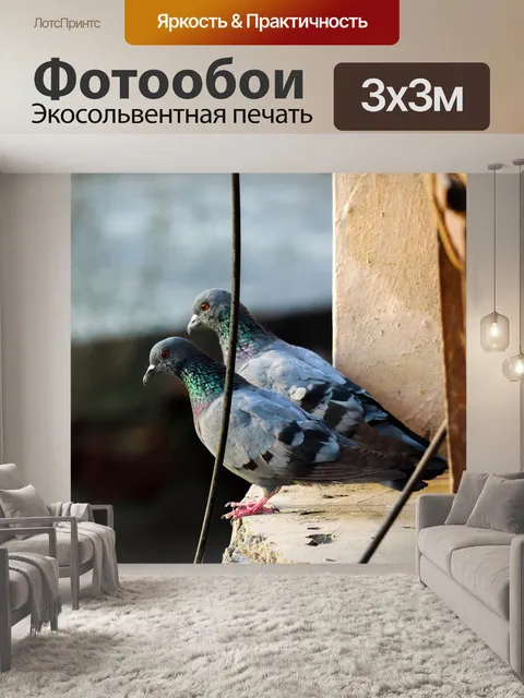 Фотообои Птица