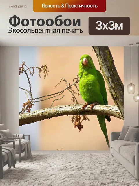 Фотообои Попугай