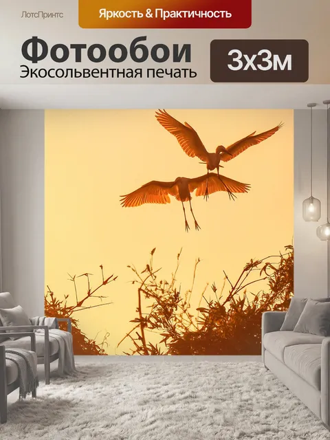 Фотообои Закат днем