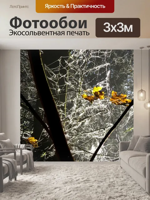 Фотообои Падение