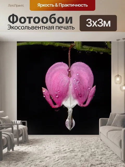Фотообои Сердце цветок