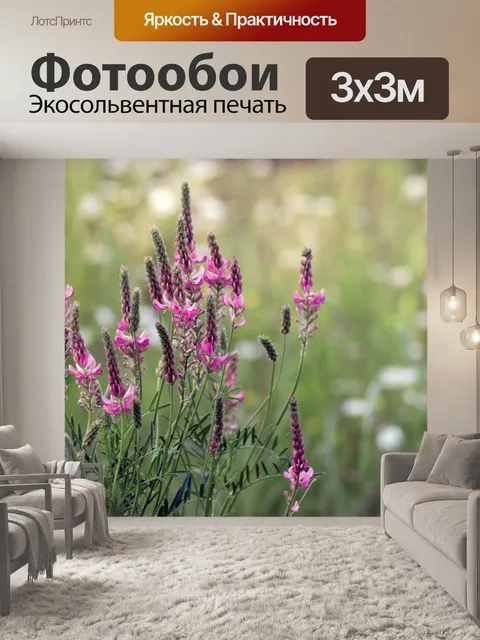 Фотообои Уайлдфлауэр розовые цветы эспарсетта