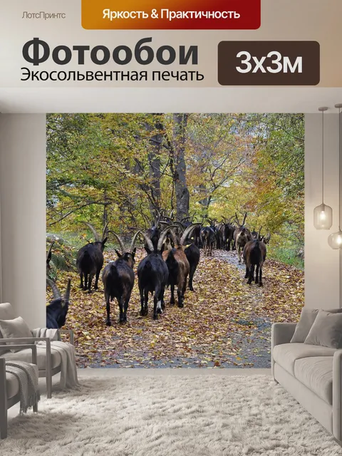Фотообои Осень