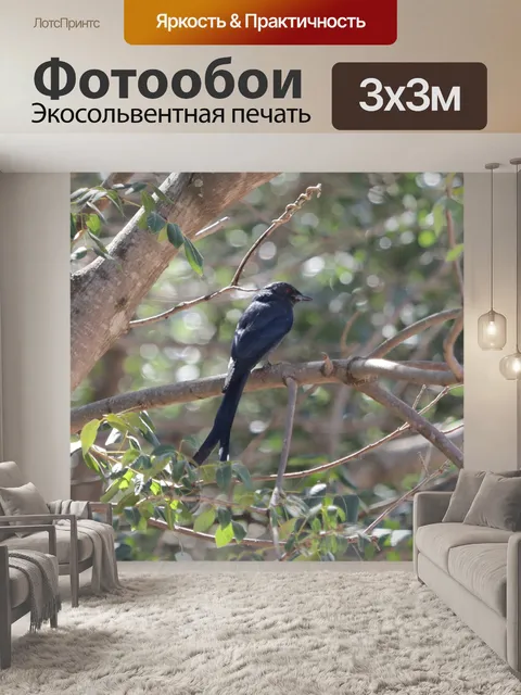 Фотообои Птица
