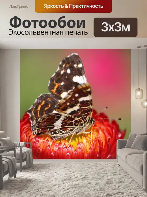 Фотообои Животное