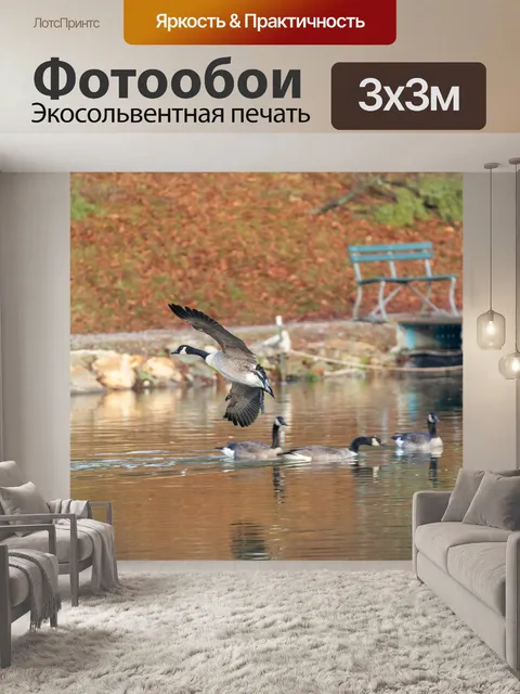 Фотообои Птицы