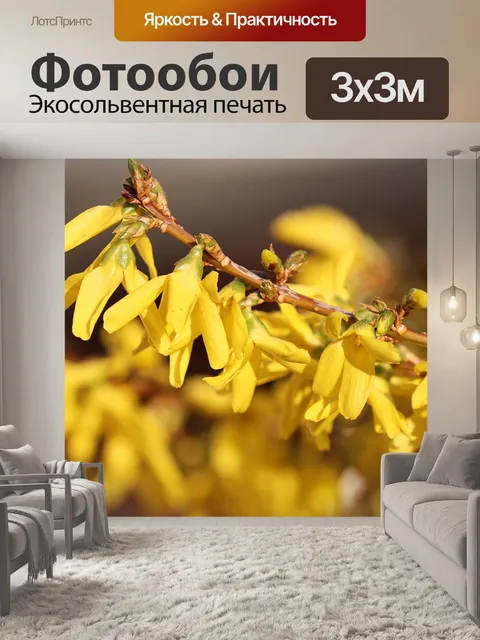 Фотообои Форсайтия