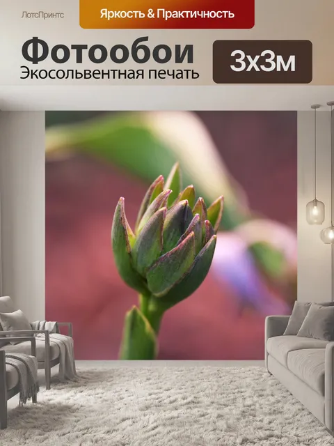 Фотообои Цветы
