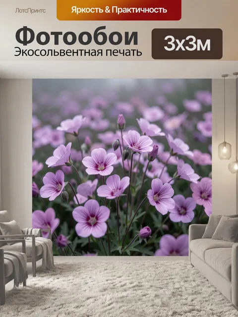 Фотообои Нежные лиловые полевые цветы
