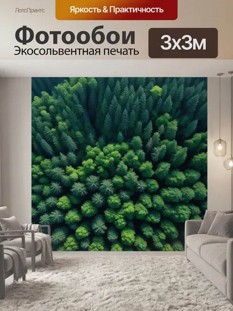 Фотообои полет над густым лесом