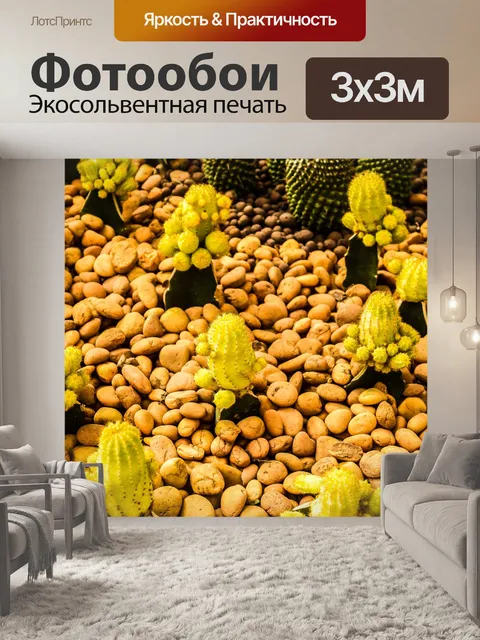 Фотообои Кактусовое пустынное растение