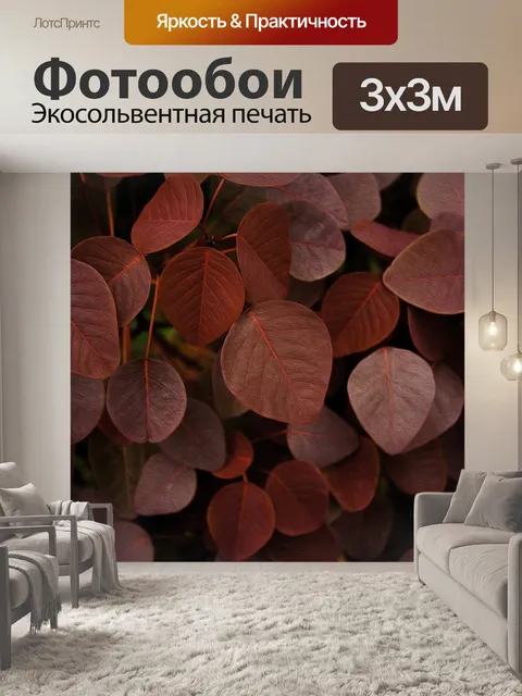 Фотообои Листья