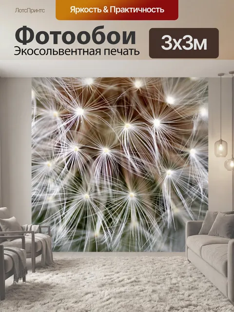 Фотообои Одуванчик