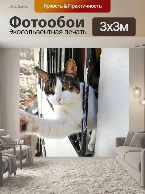 Фотообои Кошка