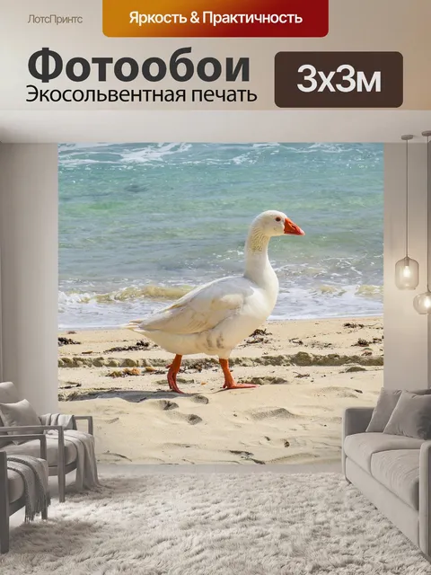 Фотообои Гусь