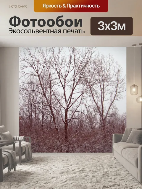 Фотообои Снег на деревьях
