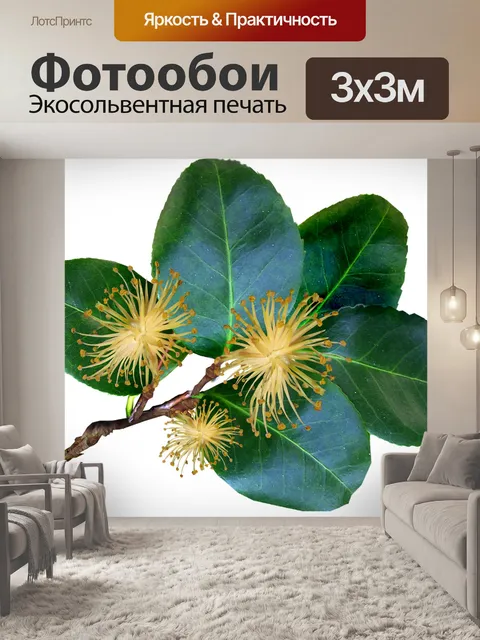 Фотообои Листья