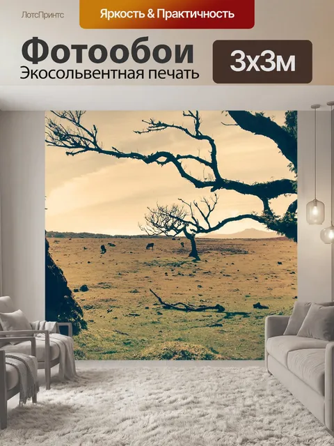 Фотообои Деревья