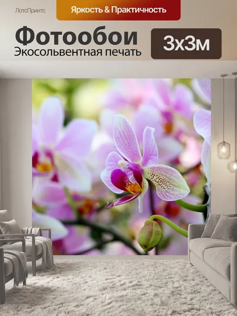 Фотообои Орхидеи