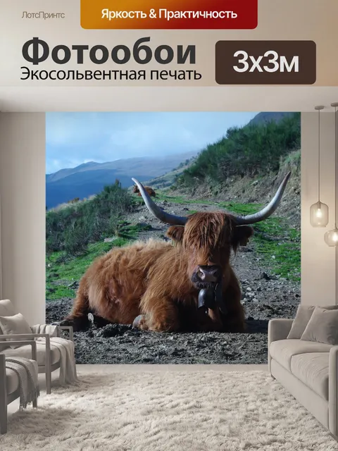 Фотообои Горный скот