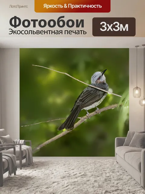 Фотообои Новые функции