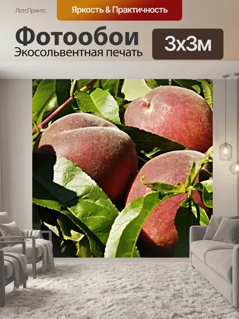 Фотообои Персик