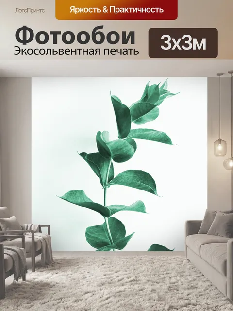 Фотообои Эвкалипт