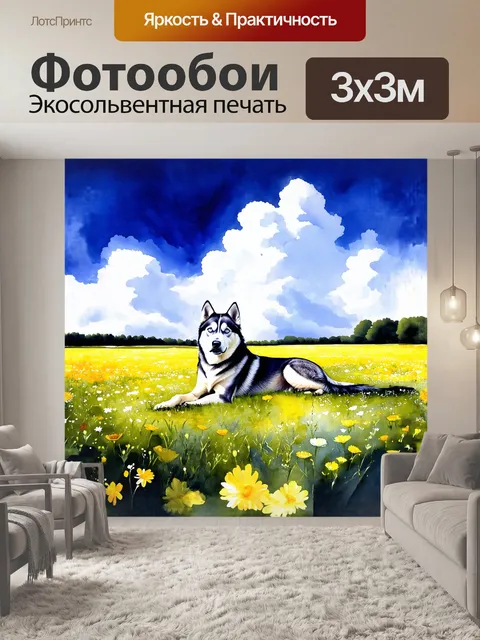 Фотообои на старинном луговом пастбище, окружённом фантастическими облаками, хаски мирно лежит среди поля цветов