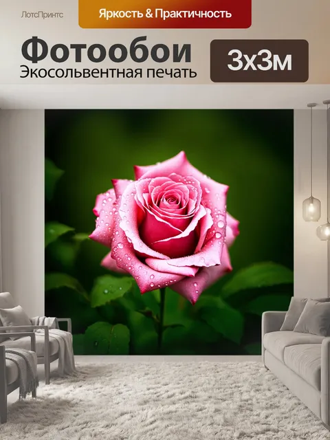 Фотообои дорогая розовая роза, покрытая капельками росы, блестящими на солнечном свете, с глубоким зеленым фоном
