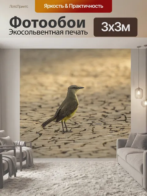 Фотообои Птица